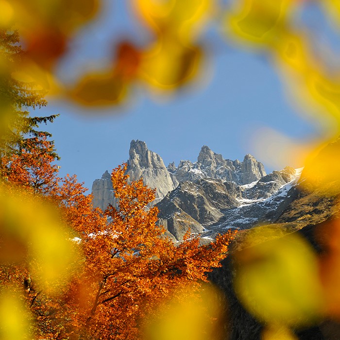 Panorama Herbst 1